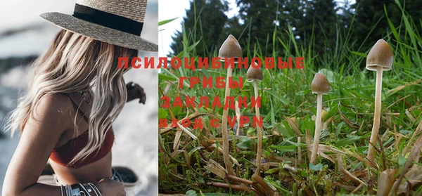 кокаин колумбия Дмитровск