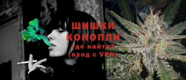 дмт Дмитров