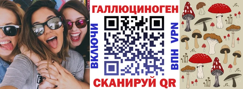 Псилоцибиновые грибы MAGIC MUSHROOMS  где купить наркотик  ссылка на мегу ONION  Железногорск-Илимский 